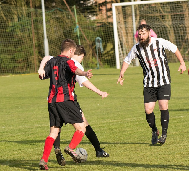 迷帶來又一 迷帶來又一