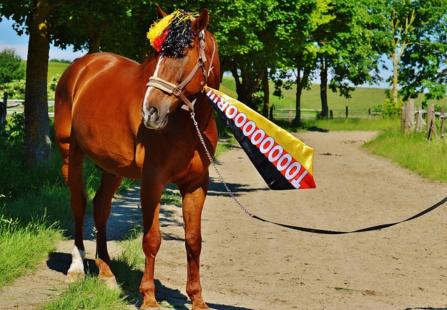 潜力选手的 潜力选手的