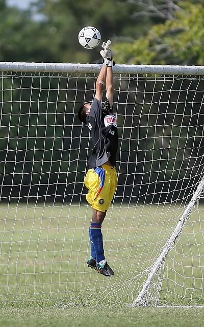 和支持将为 和支持将为